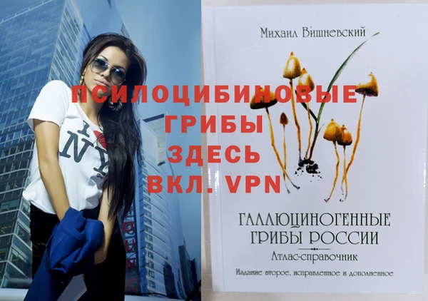 мяу мяу мука Осташков